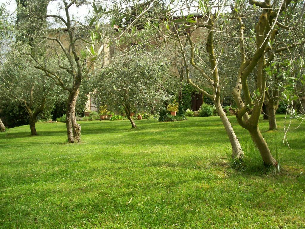 Podere Il Caggio Rooms San Gimignano Buitenkant foto