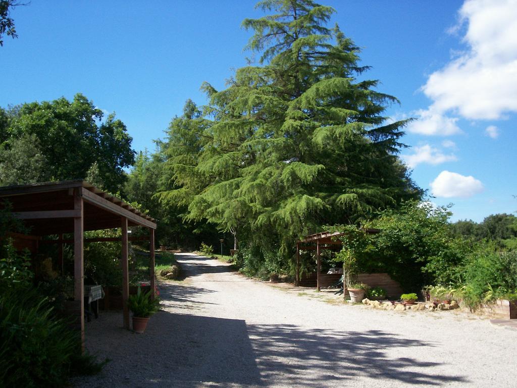 Podere Il Caggio Rooms San Gimignano Buitenkant foto